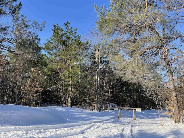 00 Langs Ln, Interlochen, MI 49643