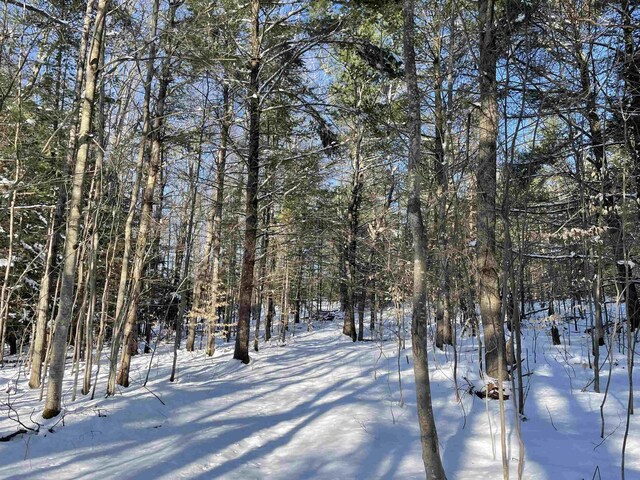 00 Langs Ln, Interlochen, MI 49643