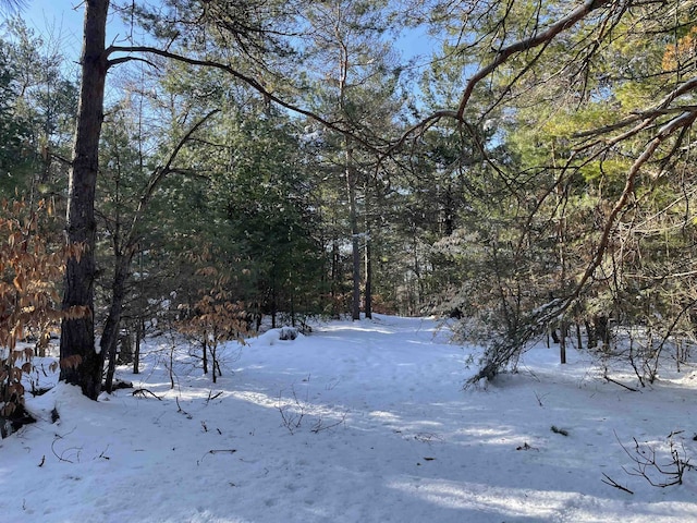 00 Langs Ln, Interlochen, MI 49643