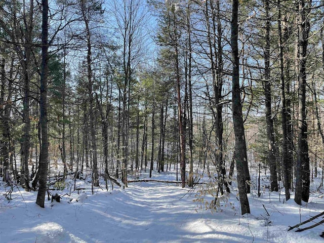 00 Langs Ln, Interlochen, MI 49643