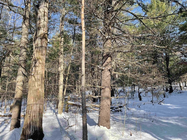 00 Langs Ln, Interlochen, MI 49643