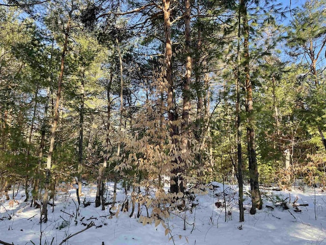 00 Langs Ln, Interlochen, MI 49643