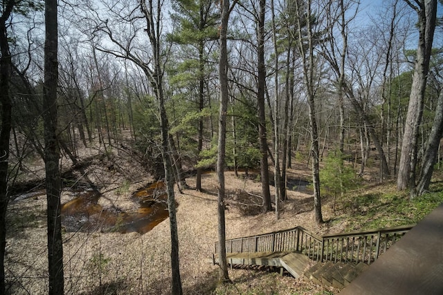 view of yard with a wooded view