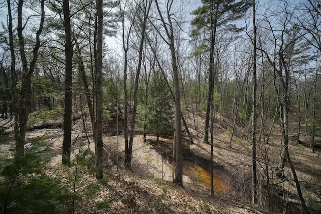 view of landscape featuring a wooded view