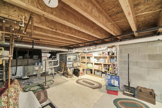 unfinished basement with concrete block wall