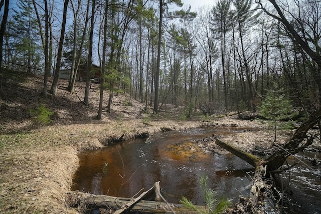 water view with a forest view