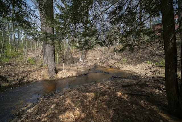 view of nature featuring a wooded view