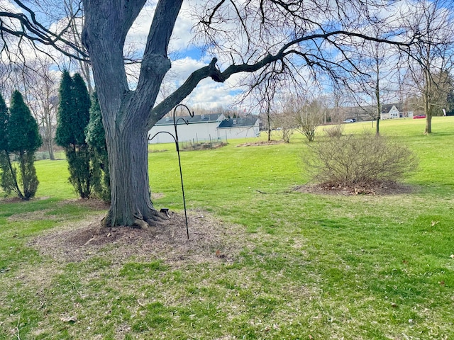 5959 Alan Dr Unit 57, Brighton, MI 48116 - view of yard