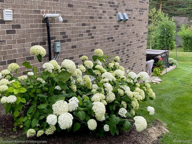 4117 Avery Rd, Lake Orion, MI 48359 - photo 3