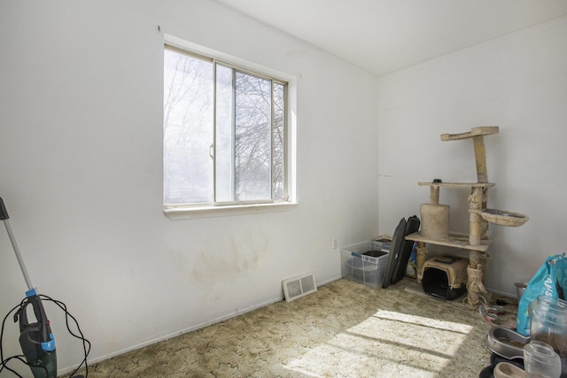 interior space with visible vents and carpet