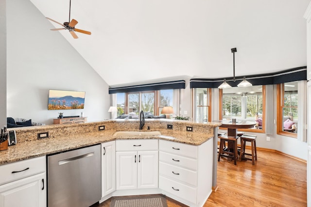 kitchen featuring plenty of natural light, dishwasher, light wood-type flooring, and a sink