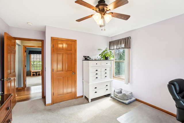 office featuring ceiling fan, baseboards, and carpet