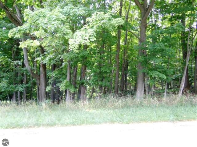 821 Wind Drift Dr, Traverse City, MI 49684