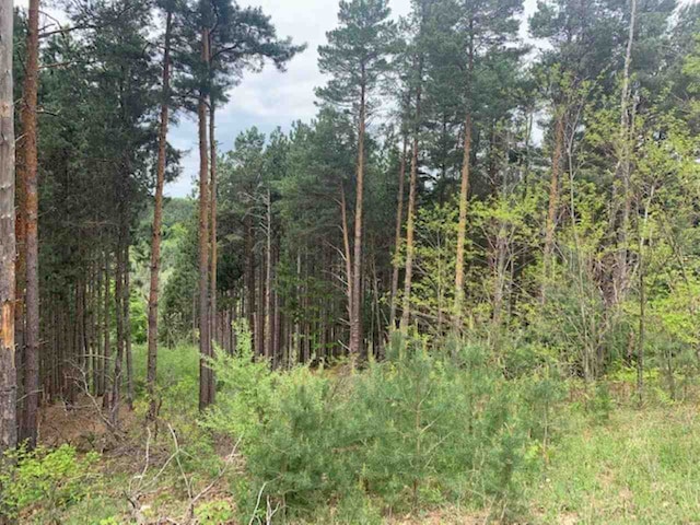 821 Wind Drift Dr, Traverse City, MI 49684