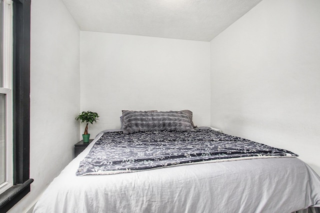 12934 Wilson Rd, Fruitport, MI 49415 - bedroom with a textured ceiling