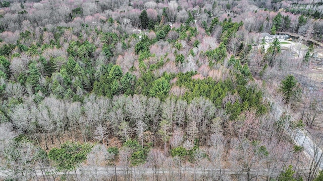 12934 Wilson Rd, Fruitport, MI 49415 - bird's eye view with a forest view