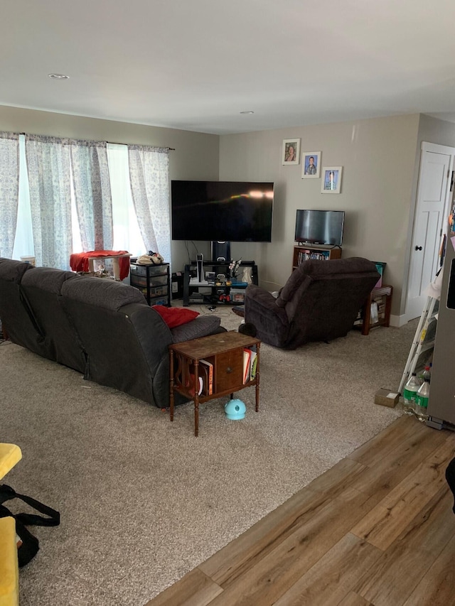 living room featuring wood finished floors