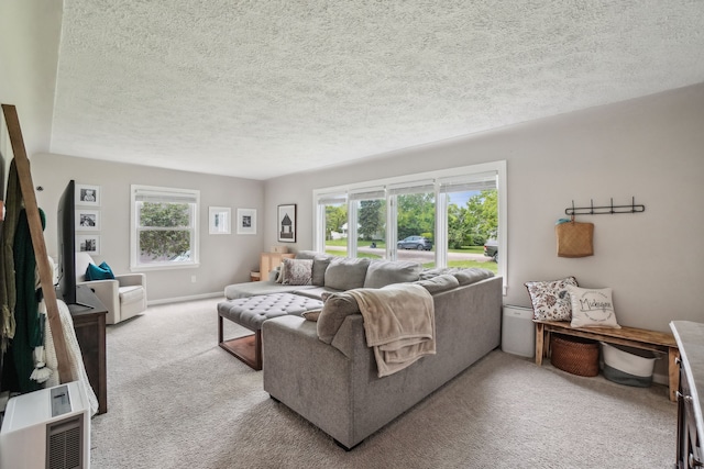 49212 Fuller Rd, Chesterfield, MI 48051 - carpeted living room featuring a textured ceiling