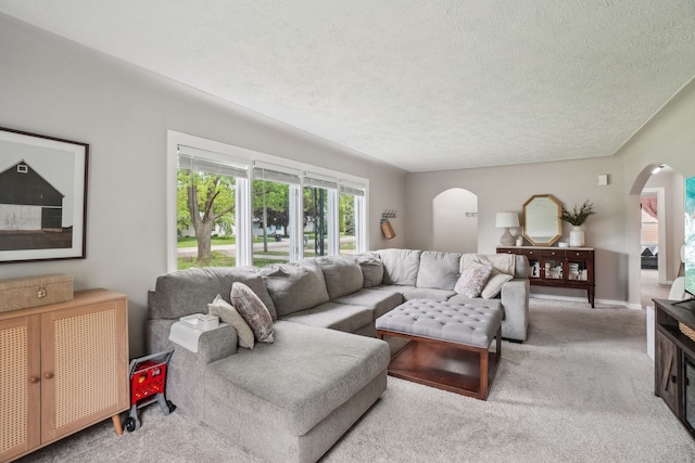 49212 Fuller Rd, Chesterfield, MI 48051 - living area featuring arched walkways, carpet, and a textured ceiling