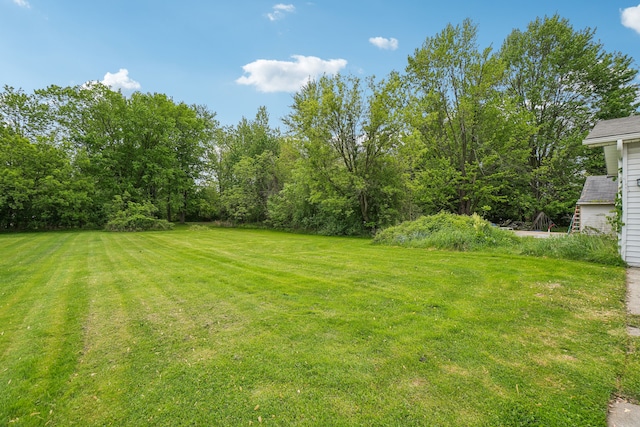 49212 Fuller Rd, Chesterfield, MI 48051 - view of green lawn
