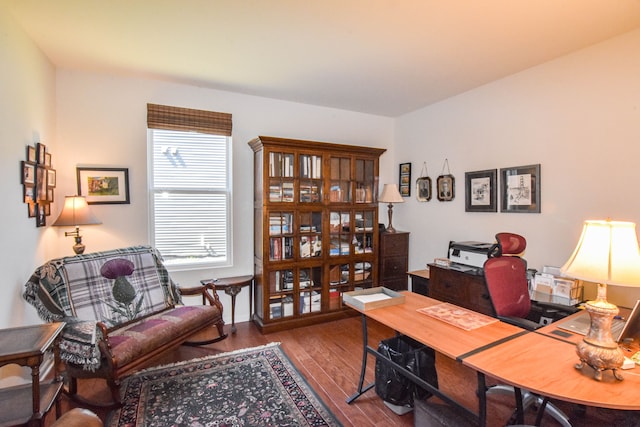 office featuring wood finished floors