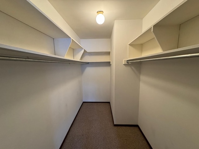 spacious closet featuring carpet flooring