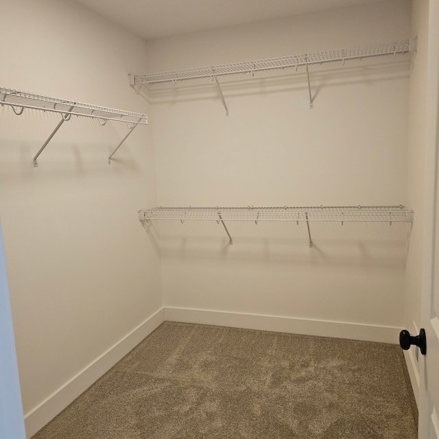 55810 Stewart Dr, Macomb, MI 48042 - photo 16