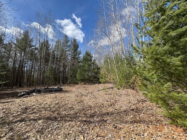 4233 Hardacre Trl, Houghton Lake, MI 48629