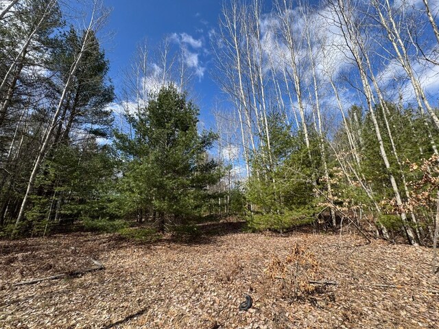 4233 Hardacre Trl, Houghton Lake, MI 48629