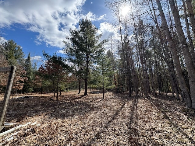 4233 Hardacre Trl, Houghton Lake, MI 48629