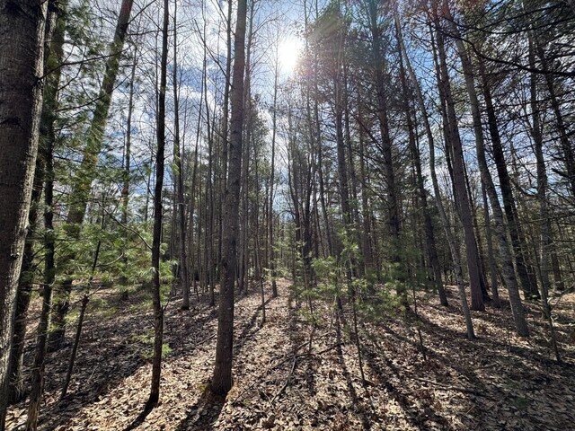 4233 Hardacre Trl, Houghton Lake, MI 48629