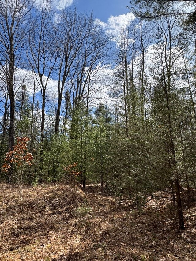 4233 Hardacre Trl, Houghton Lake, MI 48629