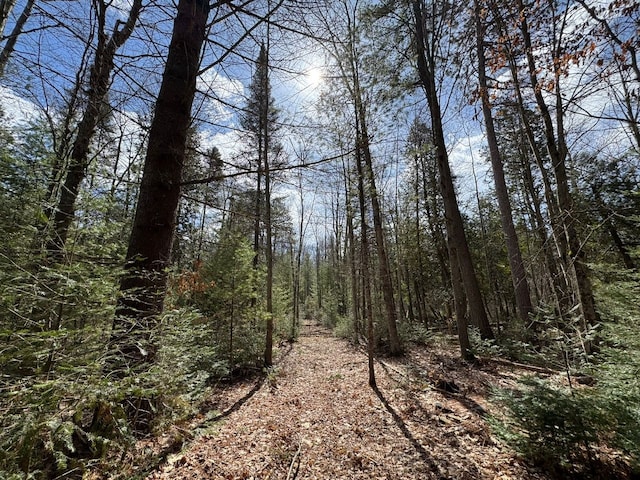 4233 Hardacre Trl, Houghton Lake, MI 48629