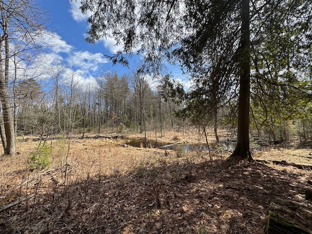 4233 Hardacre Trl, Houghton Lake, MI 48629