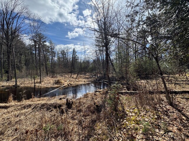 4233 Hardacre Trl, Houghton Lake, MI 48629