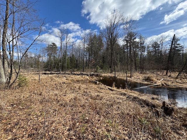 4233 Hardacre Trl, Houghton Lake, MI 48629
