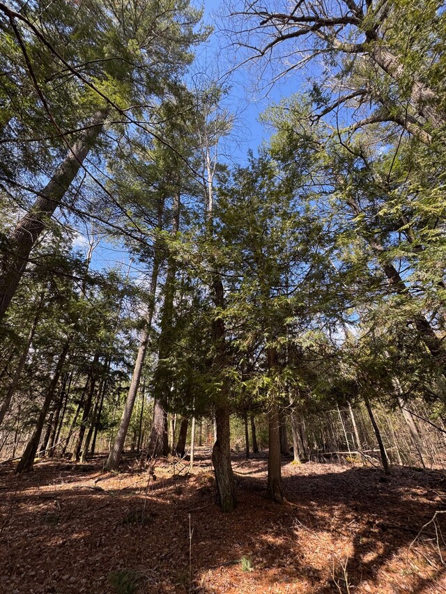 4233 Hardacre Trl, Houghton Lake, MI 48629