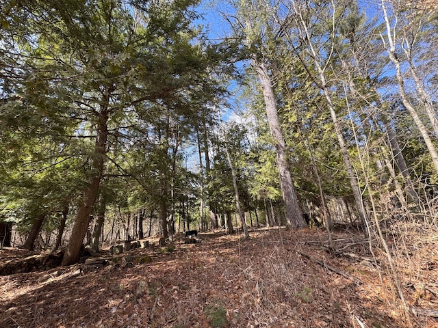 4233 Hardacre Trl, Houghton Lake, MI 48629