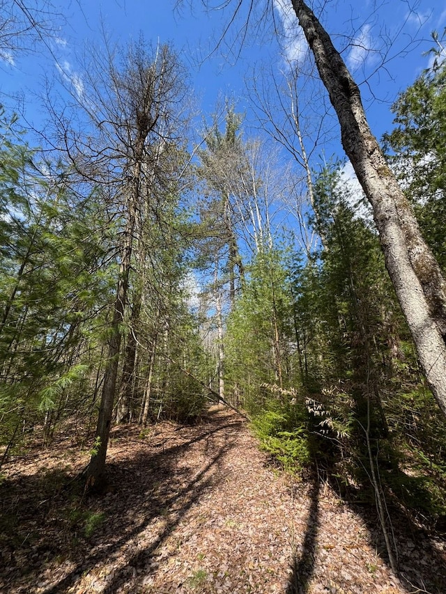 4233 Hardacre Trl, Houghton Lake, MI 48629