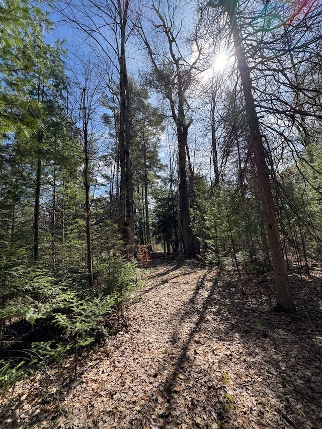 4233 Hardacre Trl, Houghton Lake, MI 48629