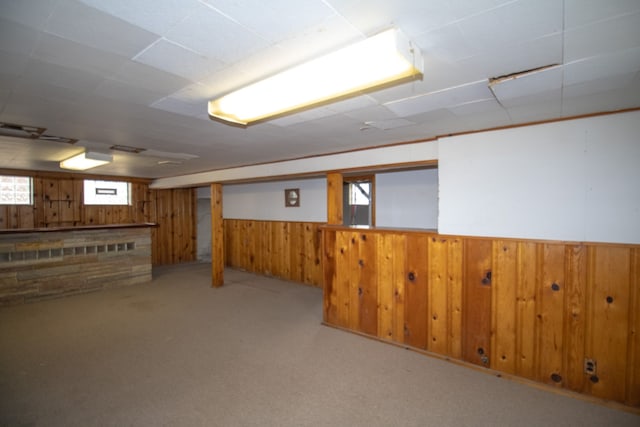 basement with wood walls, carpet flooring, and a wainscoted wall