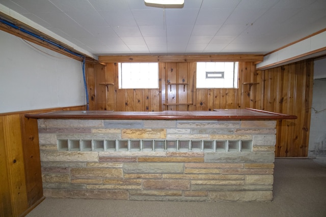 bar with a wealth of natural light, wooden walls, a bar, and carpet floors