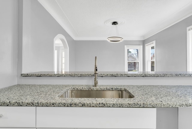 13955 Prevost St, Detroit, MI 48227 - room details featuring a sink, crown molding, and light stone countertops