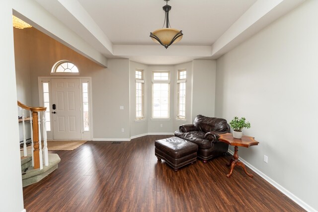 1527 Somerset Ct, Mount Pleasant, MI 48858 - foyer entrance featuring dark wood-style flooring, baseboards, and a raised ceiling
