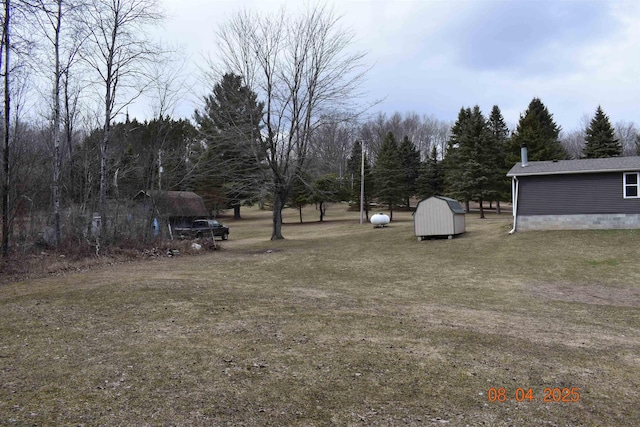view of yard with a storage shed and an outdoor structure