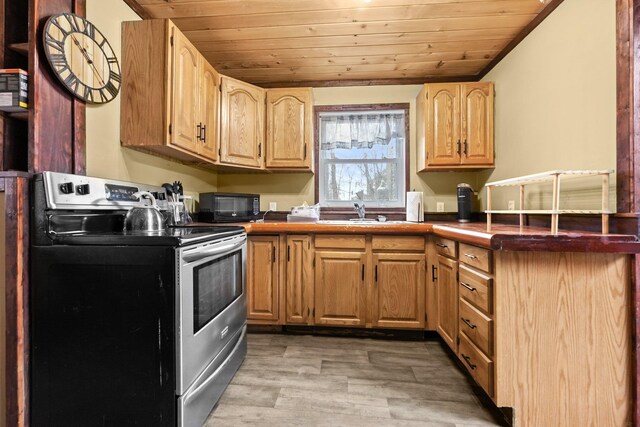 9341 W M-115, Mesick, MI 49668 - kitchen featuring wooden ceiling, a sink, light wood-style floors, black microwave, and electric range