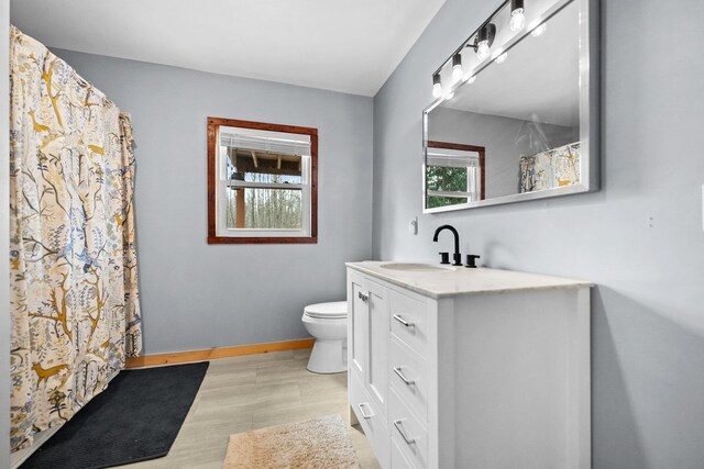 9341 W M-115, Mesick, MI 49668 - bathroom featuring vanity, baseboards, a shower with curtain, toilet, and wood finished floors