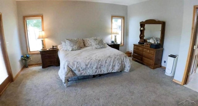bedroom with multiple windows and light carpet