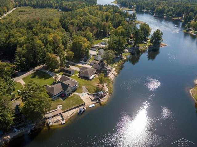 drone / aerial view featuring a view of trees and a water view