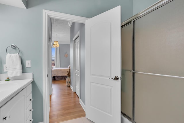 442 Constitution Ave, Brooklyn, MI 49230 - ensuite bathroom with vanity, wood finished floors, a shower with shower door, and baseboards